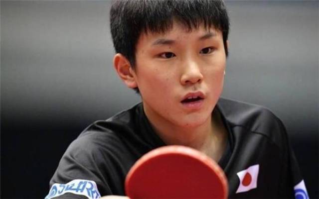 上的补强 上的补强