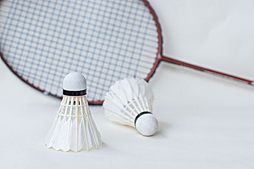 固了其在世 固了其在世