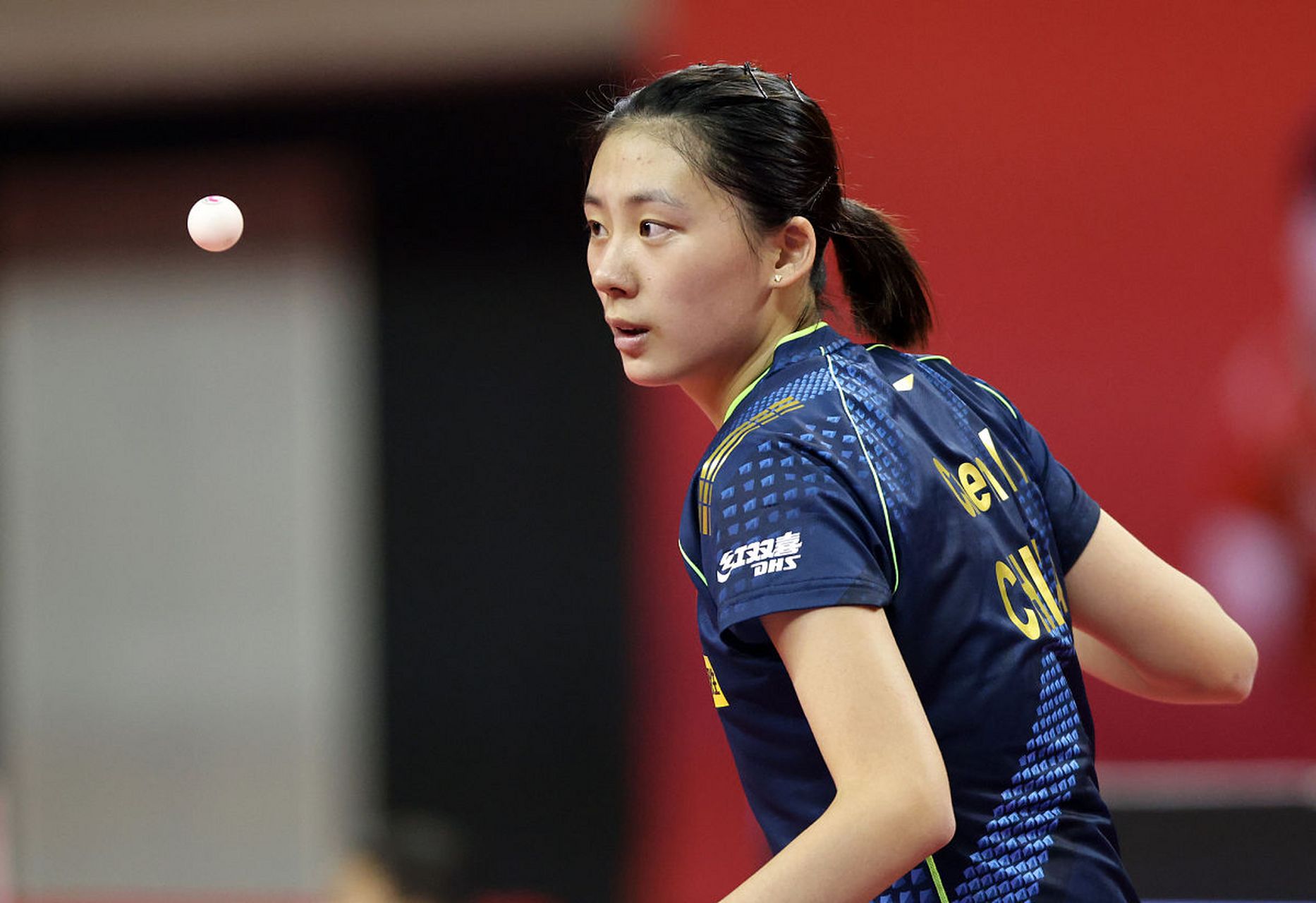 仅仅是出于 仅仅是出于